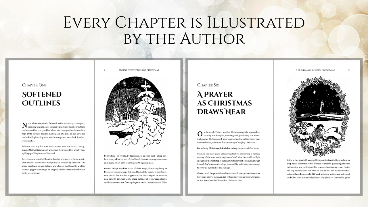 Advent Devotional for Christmas - Set of 5 Paperback Books