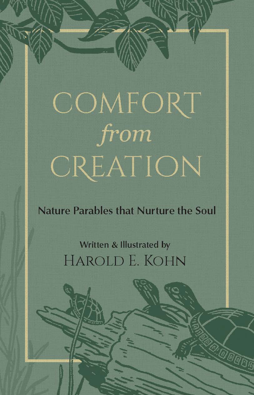 Comfort from Creation: 40 Illustrated Reflections of Hope & Strength for Nature Lovers (A Christian Self-Help Book of Outdoor Meditations - Updated Edition of Feeling Low)
