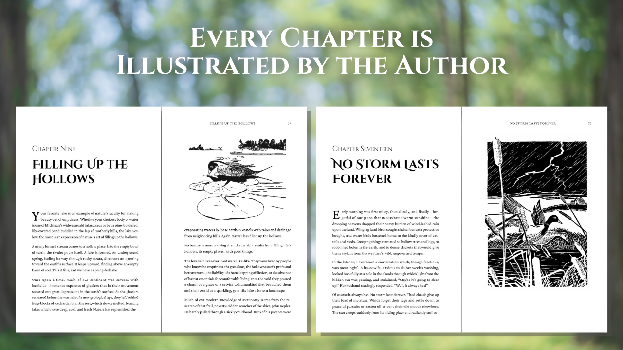 Glimpses of Glory: 35 Devotional Reflections of Comfort About Heaven, Death, and the Afterlife (A Thoughtful Christian Sympathy Gift for Those Coping with Grief, Loss, Cancer, or a Terminal Diagnosis)