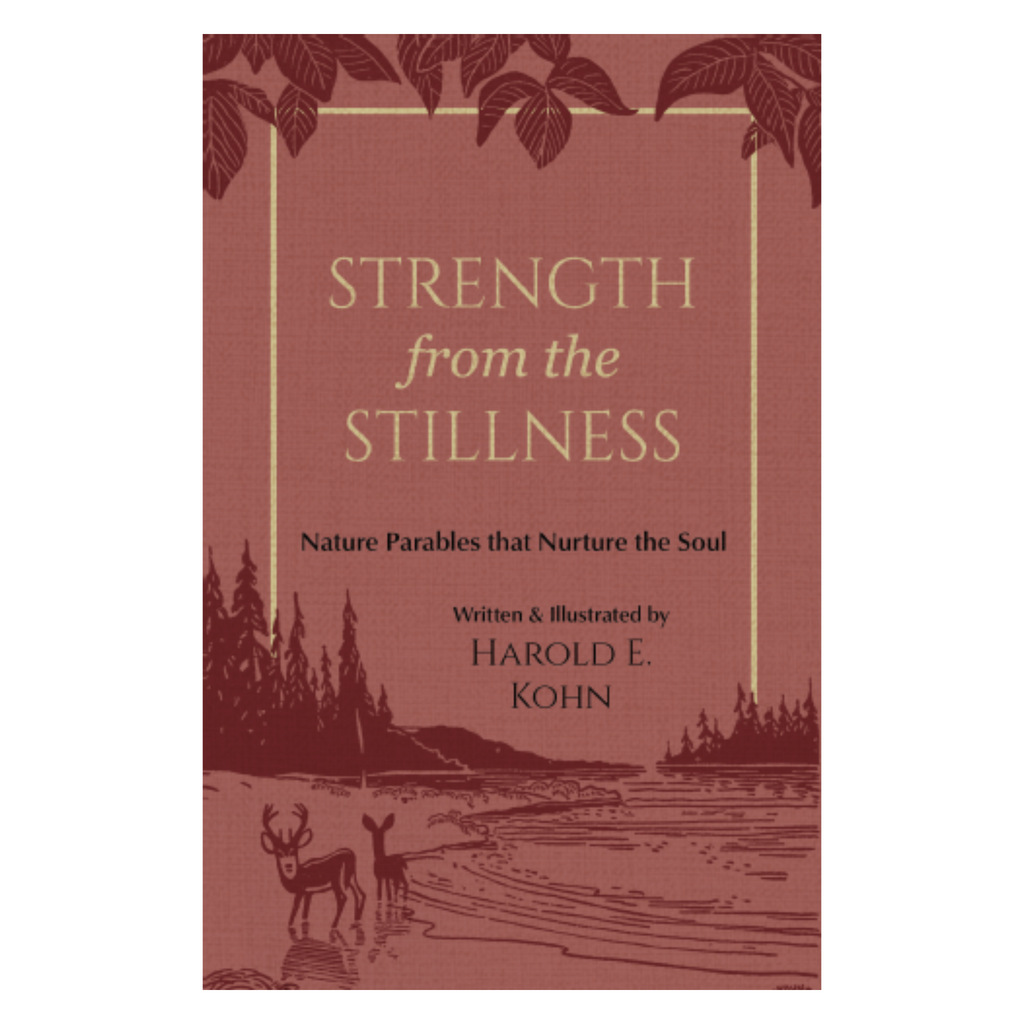 Strength from the Stillness: 35 Illustrated Reflections of Peace & Purpose for Nature Lovers (A Christian Book of Outdoor Devotional Meditations – Updated Edition of Adventures in Insight)