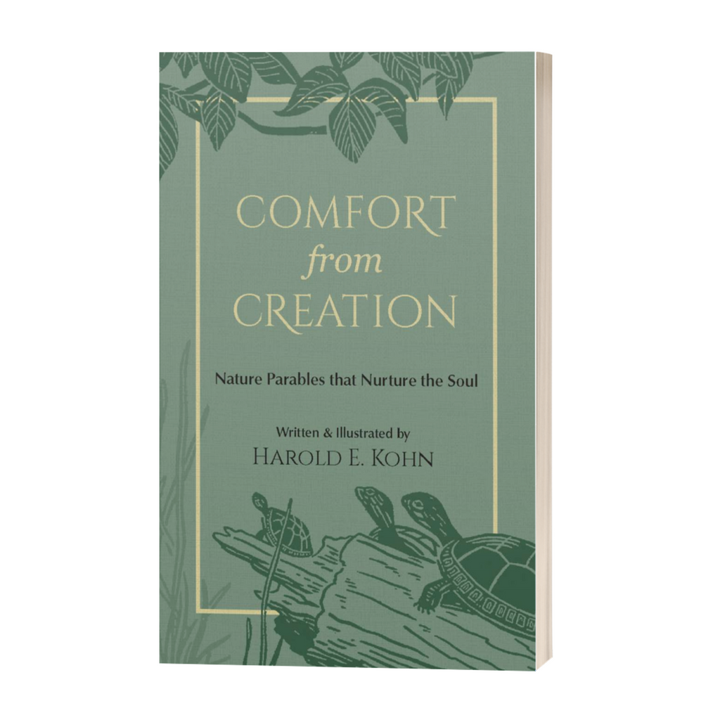 Comfort from Creation: 40 Illustrated Reflections of Hope & Strength for Nature Lovers (A Christian Self-Help Book of Outdoor Meditations - Updated Edition of Feeling Low)