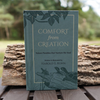 Hardcover edition of Comfort from Creation by Harold E. Kohn, displayed outdoors with its green illustrated cover featuring turtles