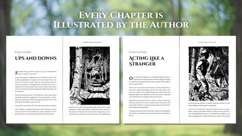 Interior pages from Comfort from Creation by Harold E. Kohn, showing illustrated chapters with nature reflections