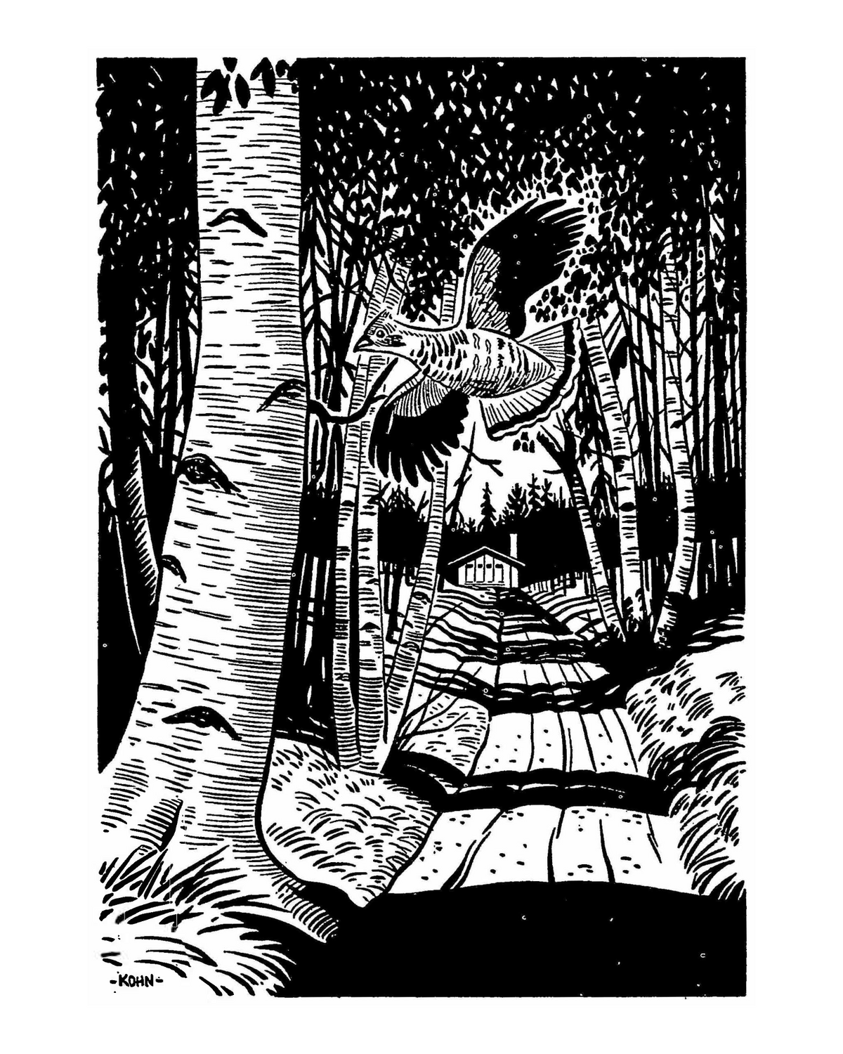 Black-and-white illustration by Harold E. Kohn of a flying partridge over a path