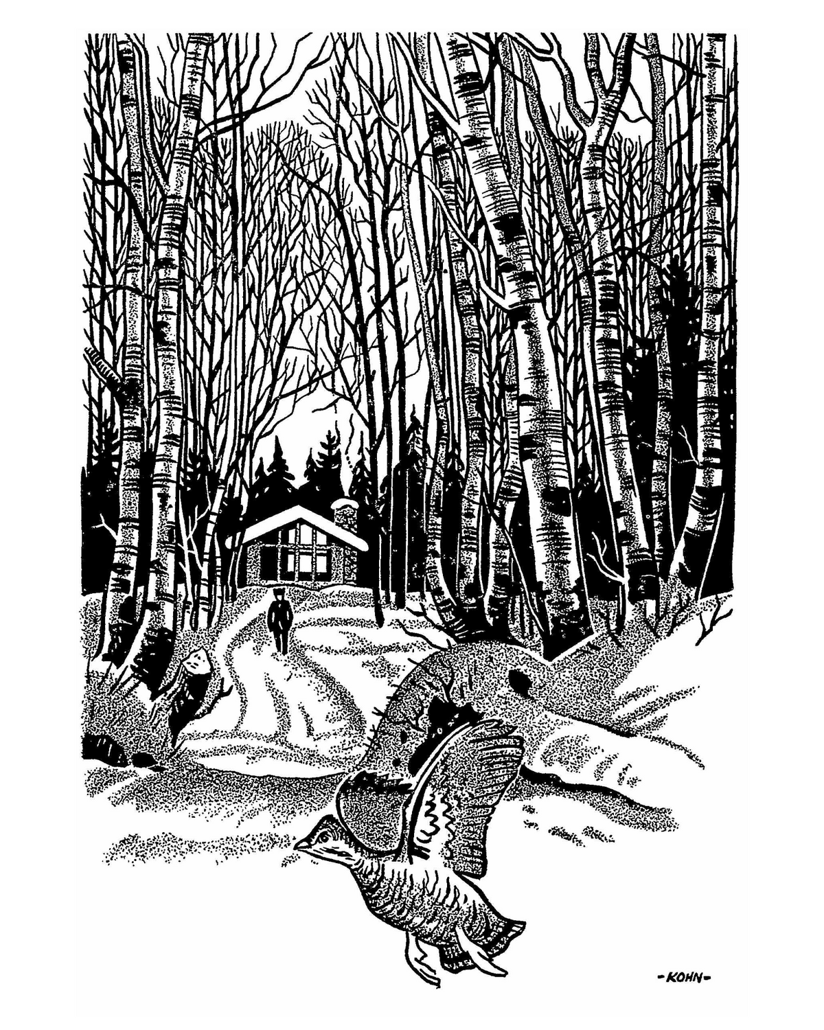 Black-and-white illustration by Harold E. Kohn of a partridge grouse flying over a snow laden path with person