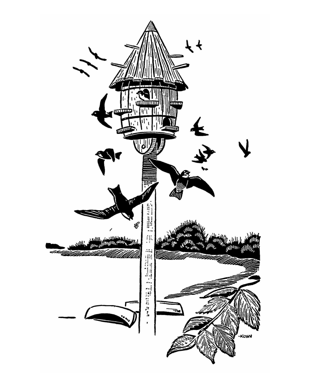 Black-and-white illustration by Harold E. Kohn of swallows flying near a bird house