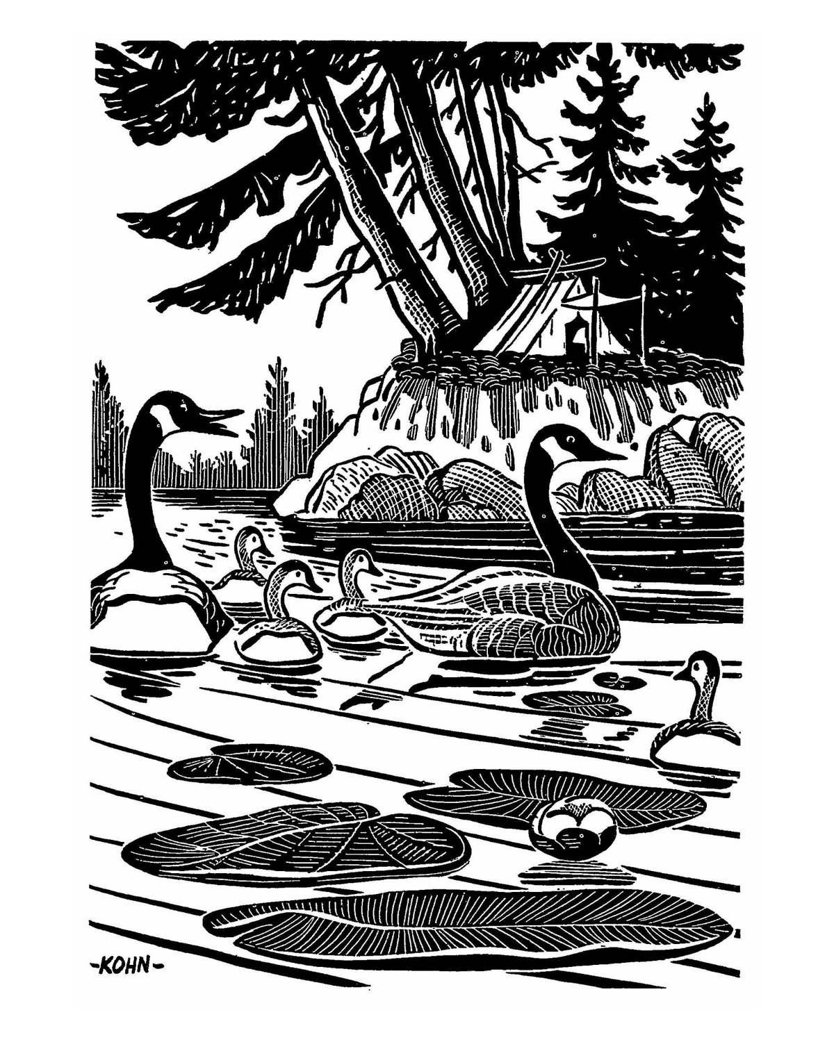 Black-and-white illustration by Harold E. Kohn of a family of geese and goslings swimming in a river with a text in the background