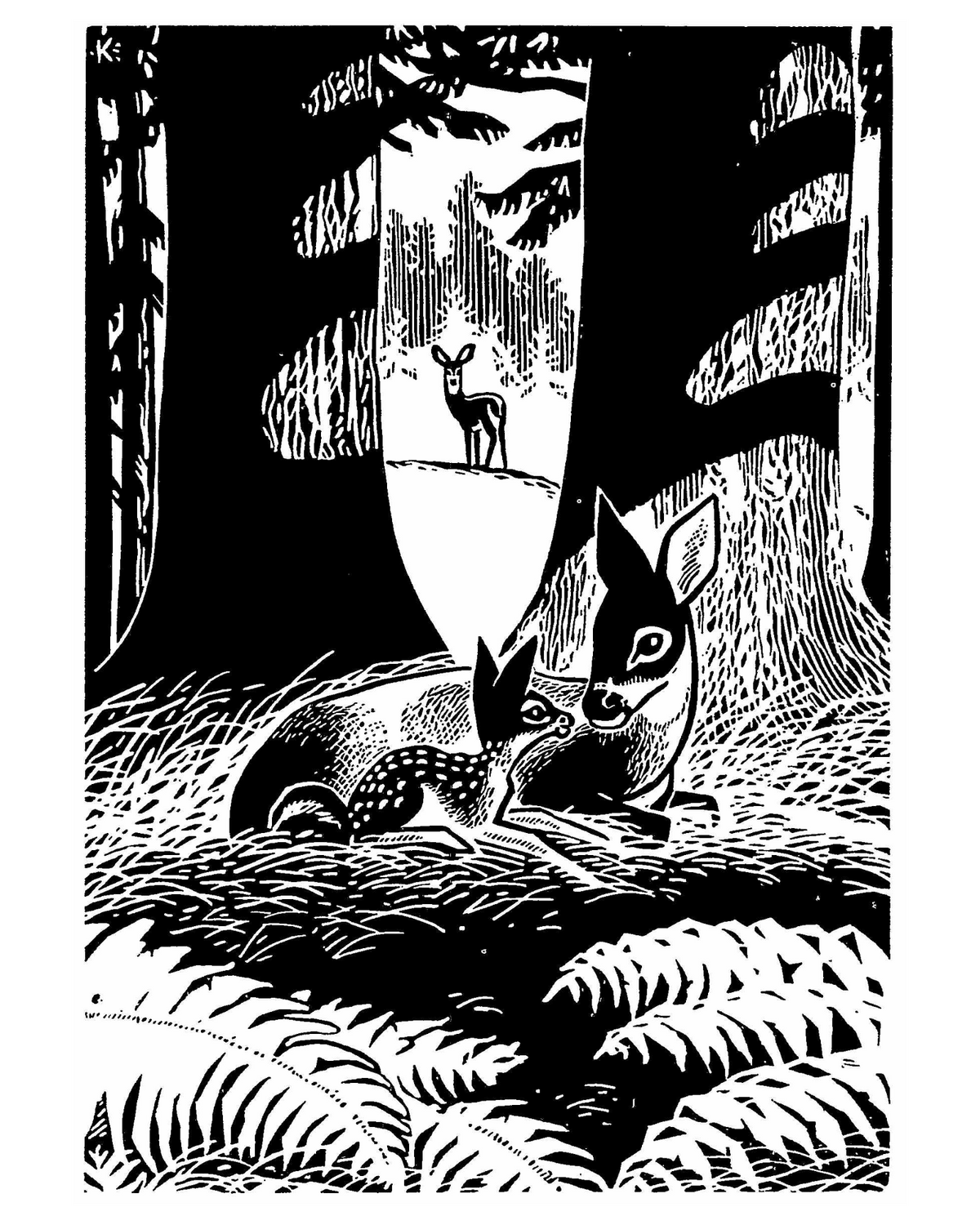 Black-and-white illustration by Harold E. Kohn of a doe and fawn bedding down with a deer in the background and shadows on the trees