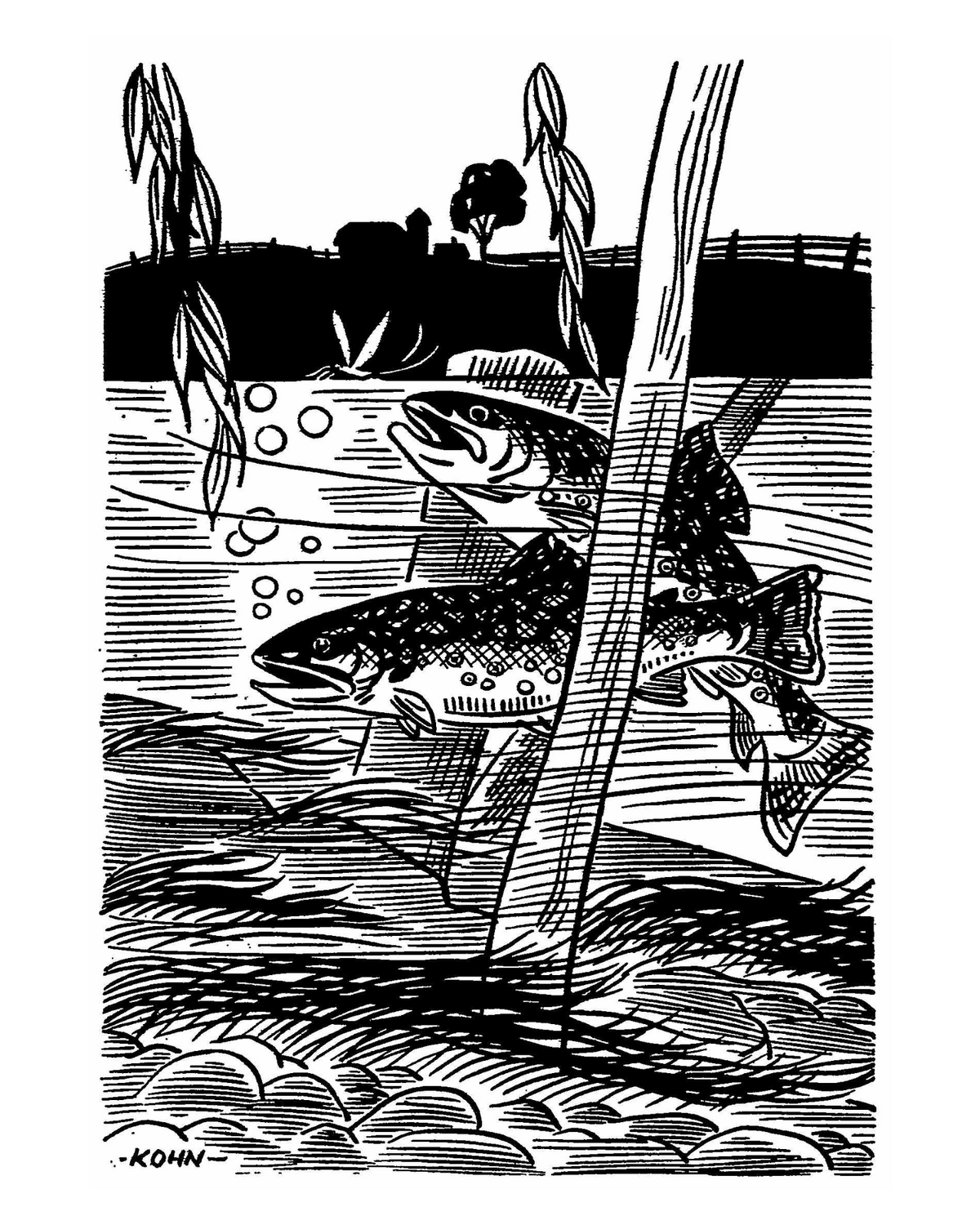 Black-and-white illustration by Harold E. Kohn of two trout in a river with a farm in the distance