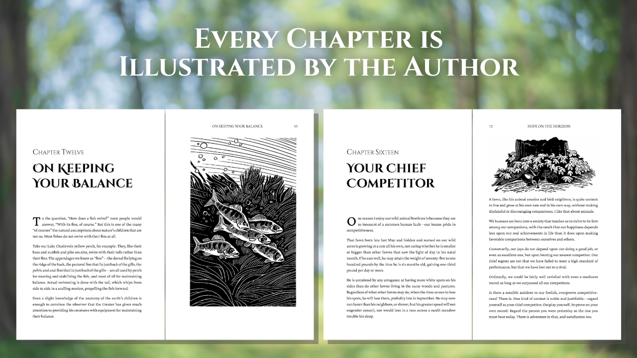 Hope on the Horizon: 35 Illustrated Reflections of Comfort & Strength for Nature Lovers (A Christian Book of Outdoor Devotional Meditations – Updated Edition of Thoughts Afield)