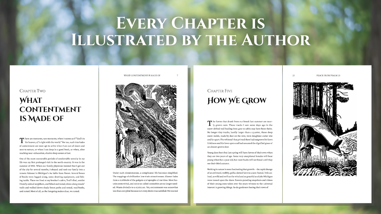 Nature Parables Gift Set - The Complete 11-Volume Hardcover Library