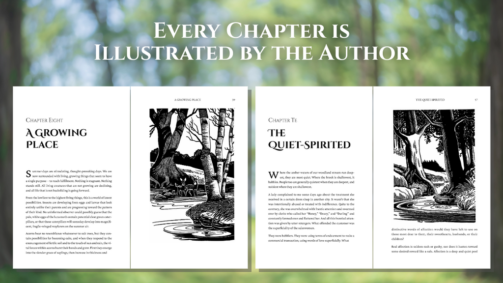 Refreshed by the Riverside: 40 Illustrated Reflections of Comfort & Strength for Nature Lovers (A Christian Book of Outdoor Devotional Meditations – Updated Edition of Reflections)