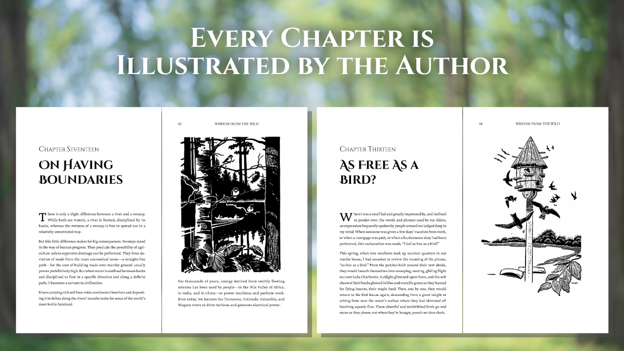 Nature Parables Gift Set - The Complete 11-Volume Hardcover Library