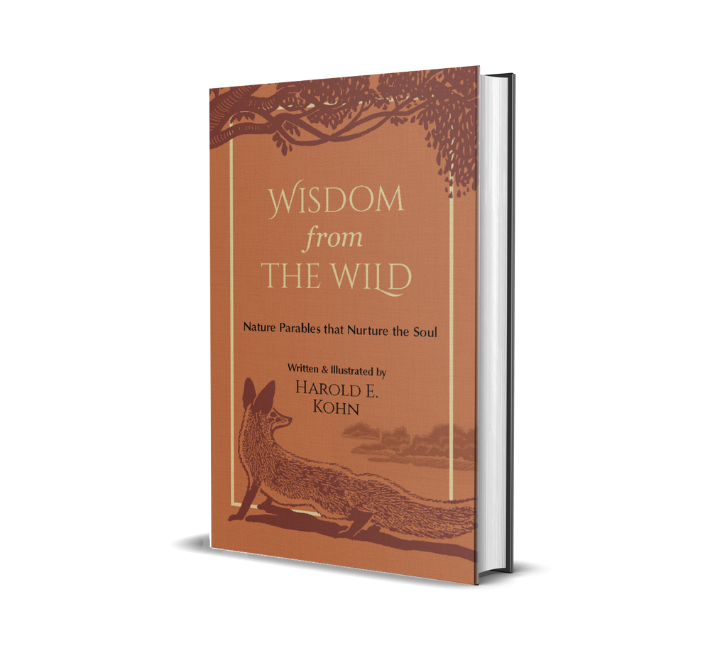 Nature Parables Starter Set: 3 Hardcover Volumes by Harold E. Kohn